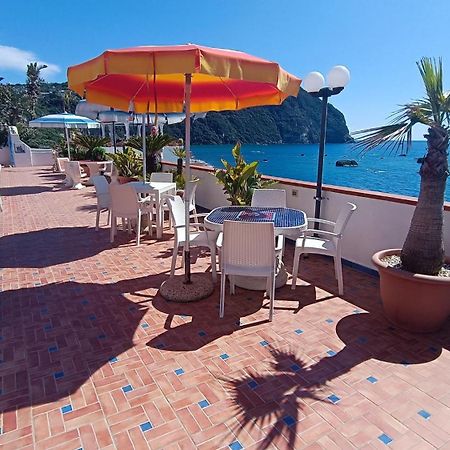 Appartamenti Tina In Villa Restituta Forio di Ischia Exteriör bild